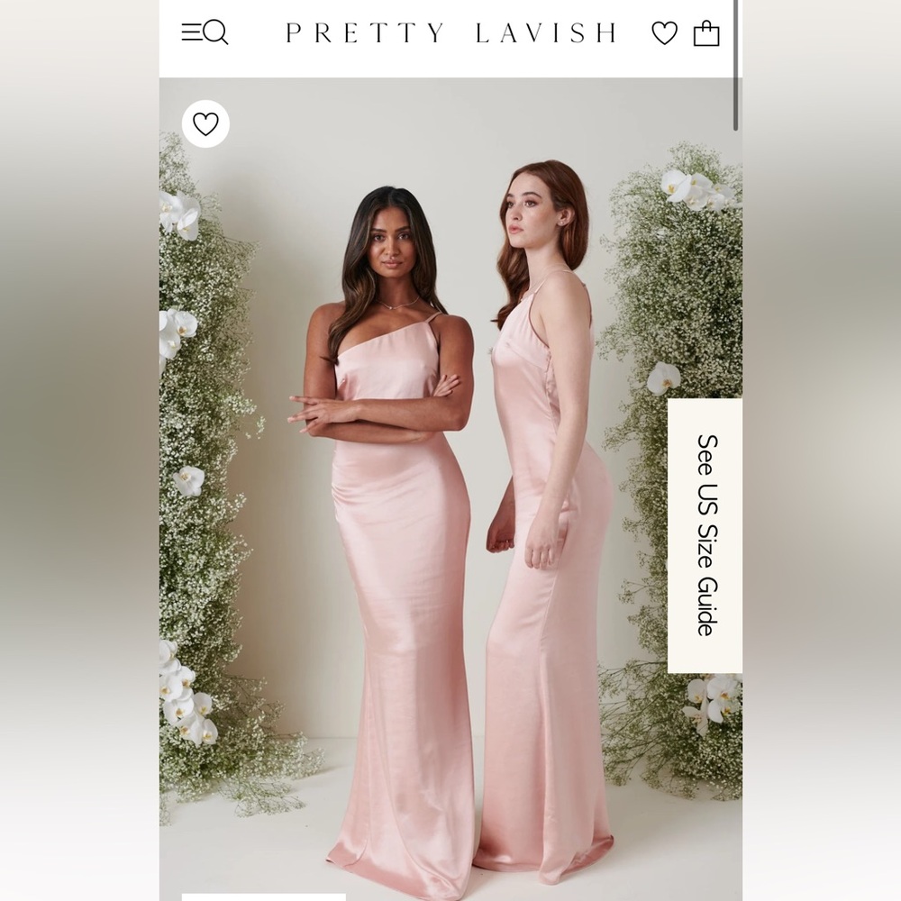 Pretty Lavish Blush Dress
